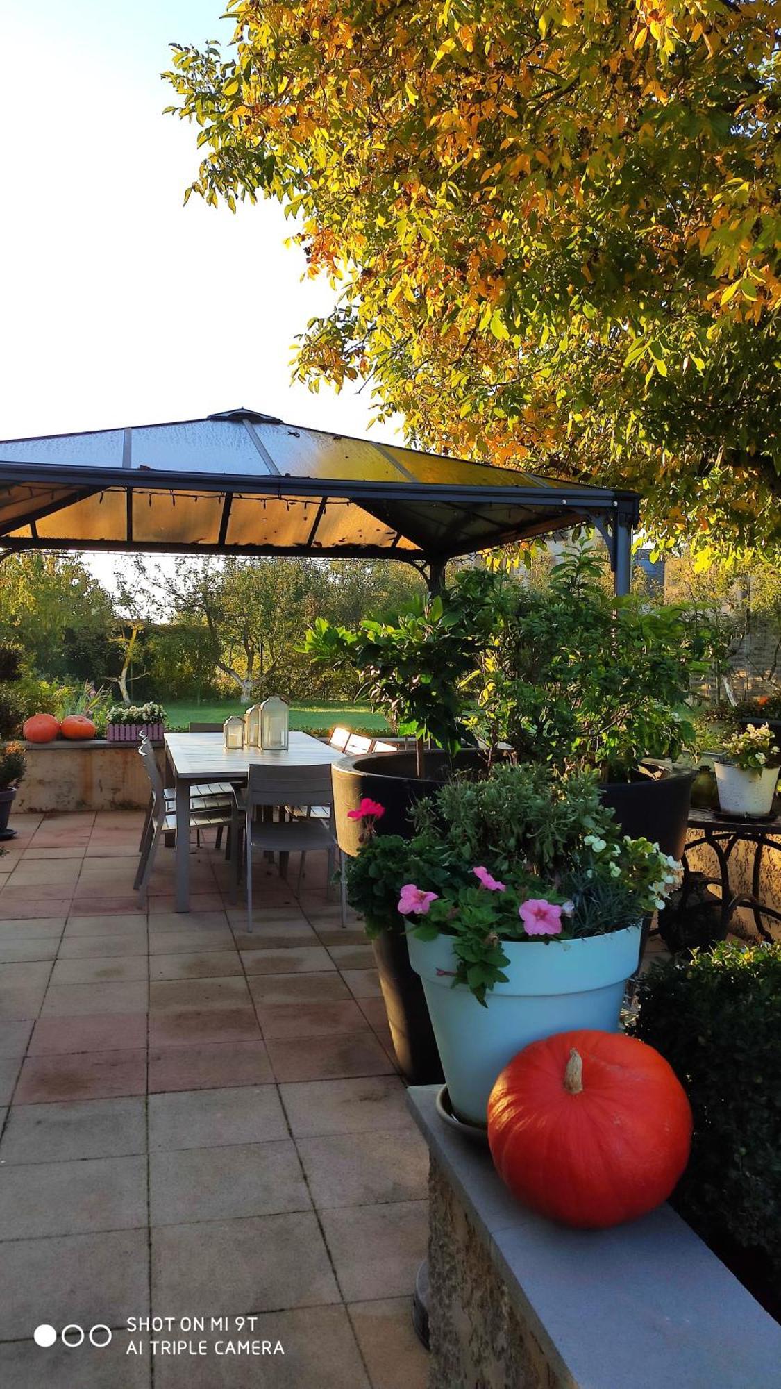 Chambres d'Hôtes Le Clos Du Verger Cattenom Extérieur photo